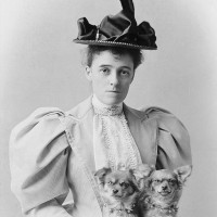 ادیت وارتون