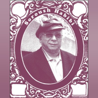 درباره “سروش حبیبی”