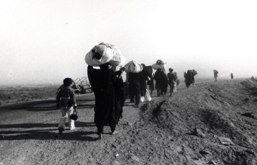 آمدند زجر کشیدند و مُردند؛ گفت‌‌وگو با سما بابایی نویسنده‏ رمان «مرثیه‌‏ای برای آفاق و ثریا»