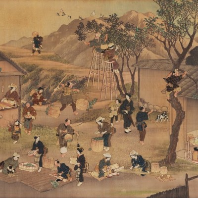 راوی جدال سنت و مدرنیته